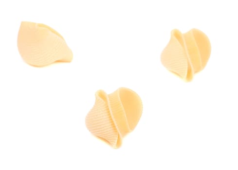 three Italian pasta shells. isolated on white background
