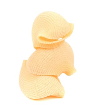 three Italian pasta shells. isolated on a white background