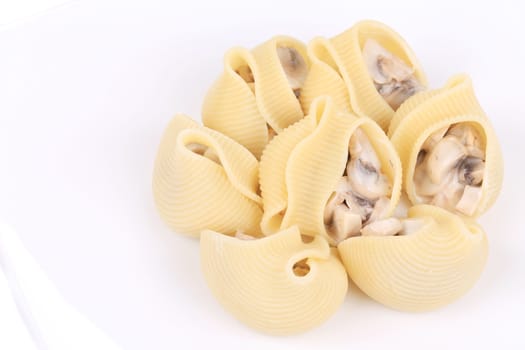 pasta shells on stuffed with mushrooms on a white plate.