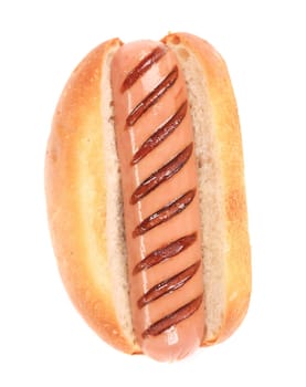 Hotdog in plain bun. Isolated on a white background.