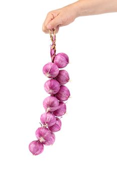 Artificial plait of onions. isolated on a white background