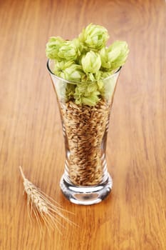 Glass with hop and wheat. Isolated on a white background.