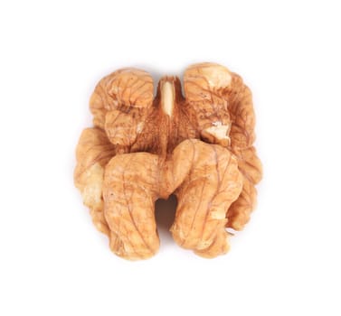 Walnut half. Isolated on a white background.