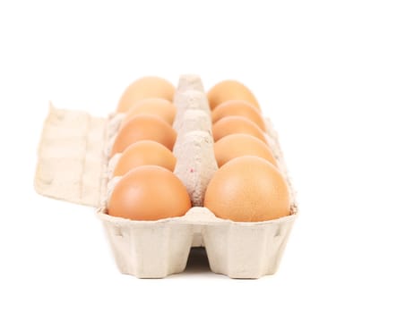 Eggs in protective case foreground. isolated on a white background