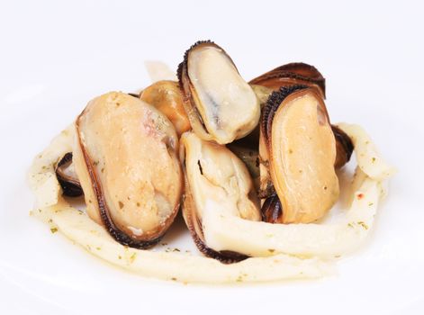 Closeup of mussels and squid. Isolated on a white background.