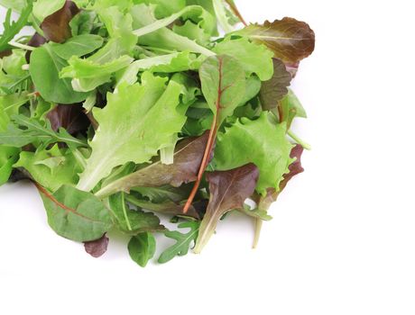 Various herbs closeup. Isolated on a white background.