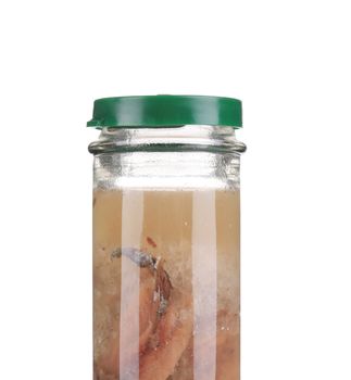 Jar Of Anchovy's. Isolated on a white background.