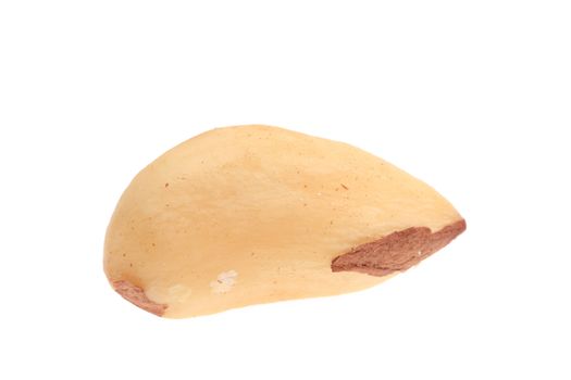 Chestnut on white. Isolated on a white background.