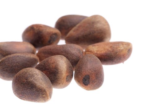 Pine nuts isolated on white. Isolated on a white background.