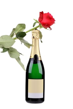 Champagne bottle and red rose. Isolated on a white background.