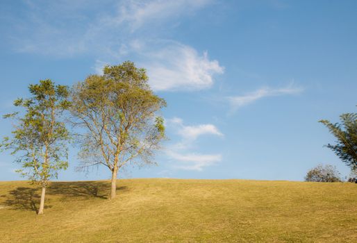 Green sloping  meadows and clouds with blue sky