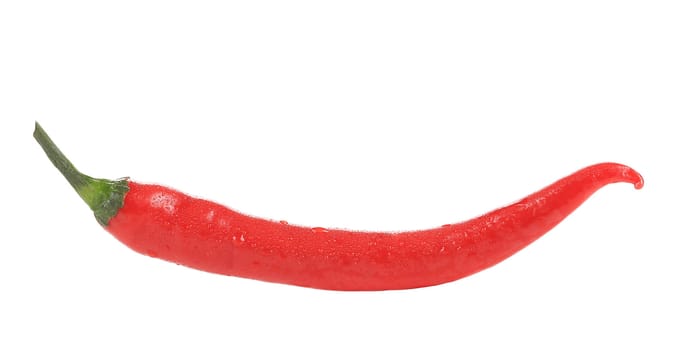 Fresh chili pepper. Isolated on a white background.