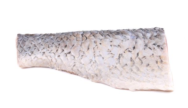 Fresh half mirror carp fillet. Isolated on a white background.