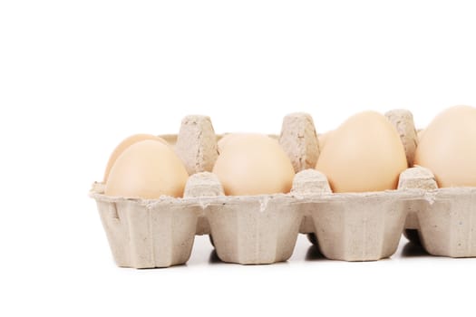 close up of eggs in a blue carton box. isolated on a white background