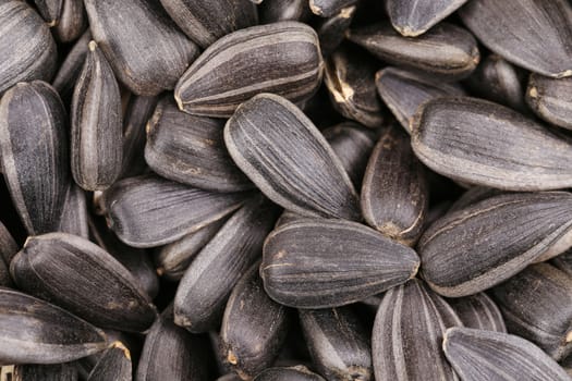Sunflower seeds background.
