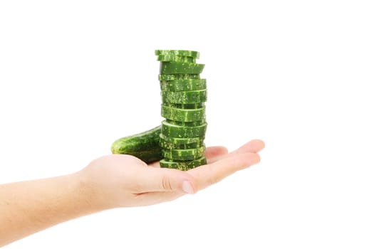 Hand holds stack juicy cucumber. isolated on a white background