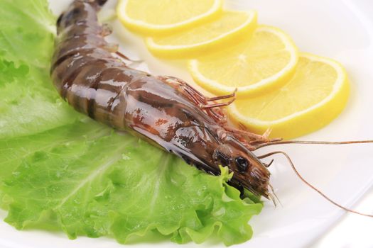 Close up of whole raw shrimp. Isolated on a white background.