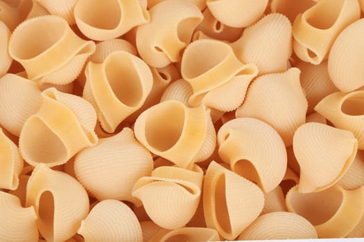 close up of Italian pasta shells. macro. background