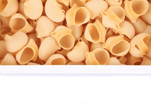 Lumaconi pasta for background. Isolated on a white background.