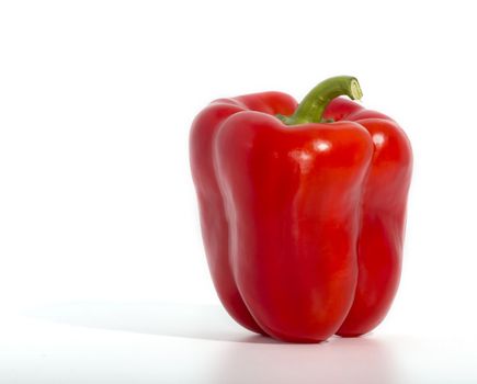 Red pepper paprika on white background 