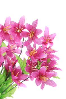 Purple artificial flowers. Isolated on a white background.