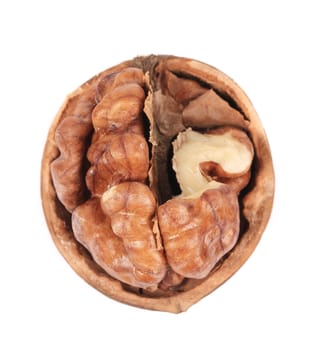Halved walnut. Isolated on a white background.
