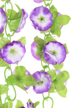 Artificial flowers. Isolated on a white background.