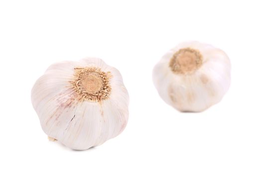 Garlicbulb isolated. Isolated on a white background.