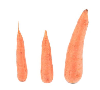 Unpeleed fresh carrots. Isolated on a white background.