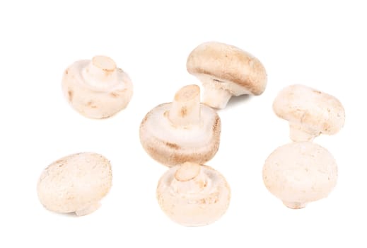 Fresh white champignons. Isolated on a white background.