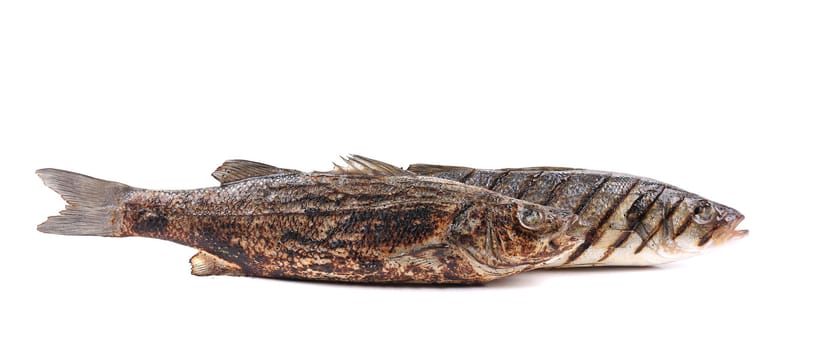 Grilled fish. Isolated on a white background.