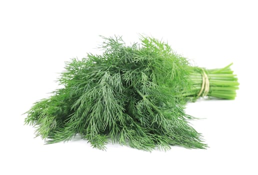 Bunch of dill. Isolated on a white background.