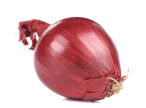 Red onion. Isolated on a white background.