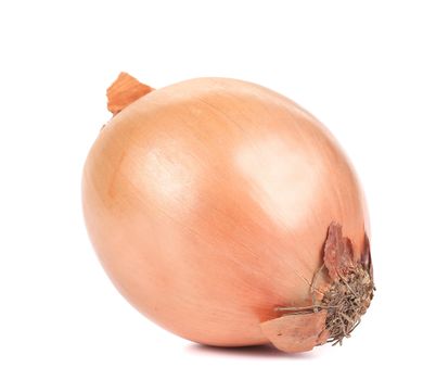 Ripe onion. Isolated on a white background.