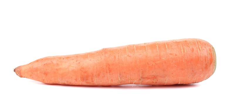 Fresh carrot. Isolated on a white background.