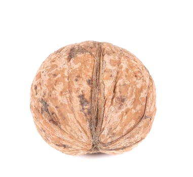 Whole walnut. Isolated on a white background.
