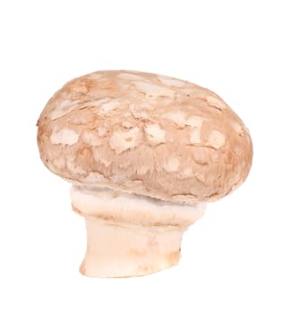 Brown champignon mushroom. Isolated on a white background.