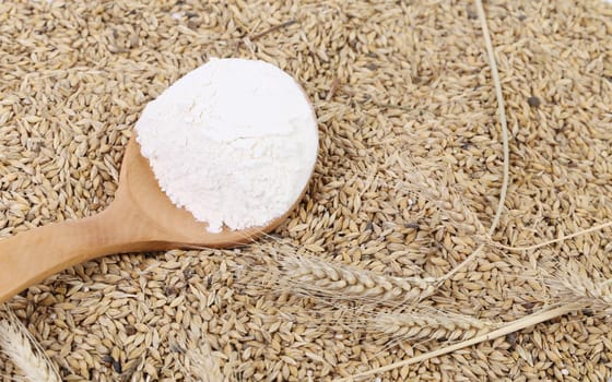 Spoon with flour on the wheat background.