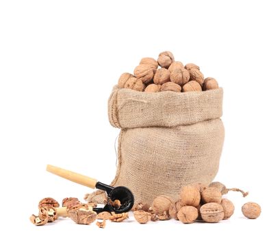 Sack with walnuts and nutcracker. Isolated on a white background.