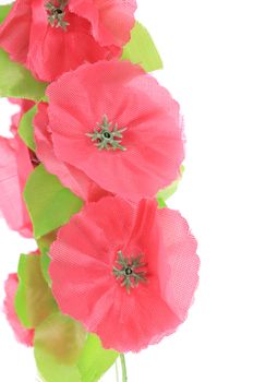 Artificial flowers. Isolated on a white background.