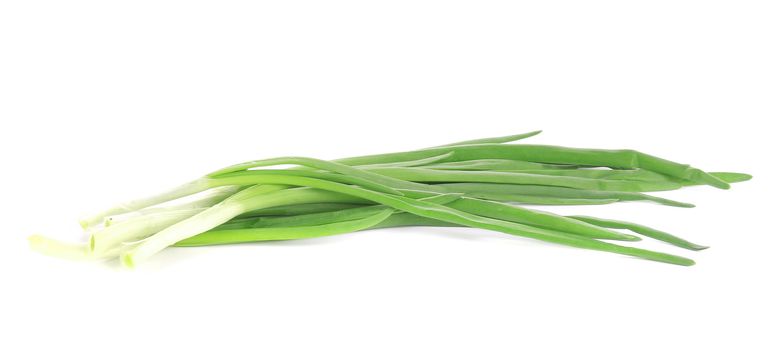 Fresh spring onion. Isolated on a white background.