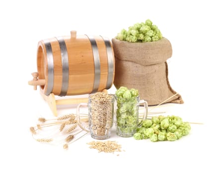 Two mugs with barley and hop. Isolated on a white background.