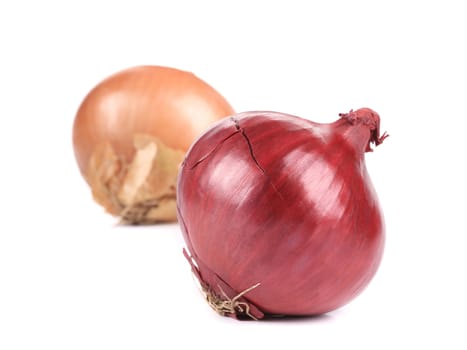 Ripe and red onions. Isolated on a white background.