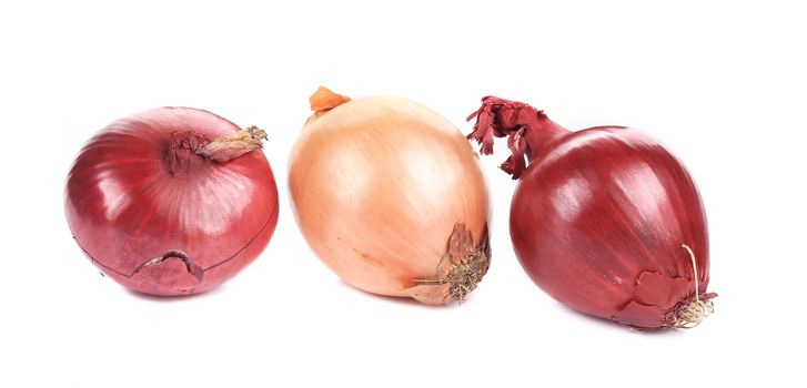 Three beautiful onion bulbs. Isolated on a white background.