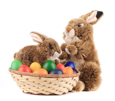 Easter eggs and bunnies. Isolated on a white background.