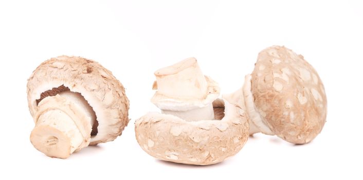 Three brown champignon mushrooms. Isolated on a white background.