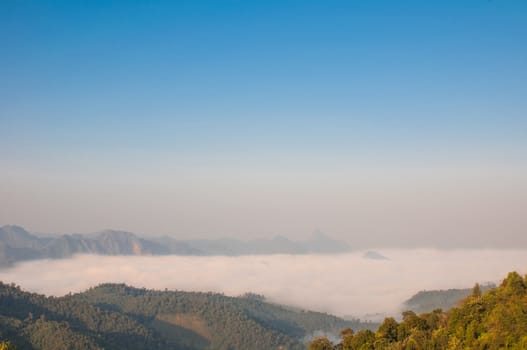 Early morning fog and cloud mountain valley landscape at National mother Thailand