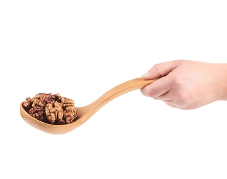 Hand holds spoon with walnuts. Isolated on a white background.