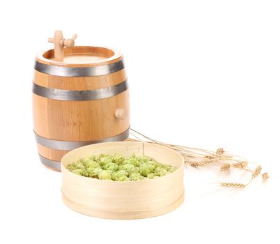 Wooden barrel and hops in basket. Isolated on a white background.