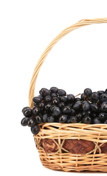 Dark grapes in a wicker basket. Isolated on a white background.